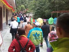 -九龙江国家森林公园