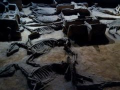 android_upload_pic-洛阳周王城天子驾六博物馆