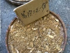 -黄埔古港