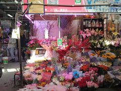 -花鸟鱼虫鲜花绿植市场(玉泉路店)