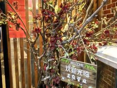 -小铫鸡汤