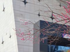 -台州博物馆