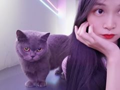-极木²邸 人与宠物·互动社区