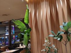 -Bco豆库(星耀天地店)