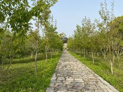 -广富林郊野公园
