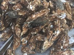 -登州市场(登州路店)