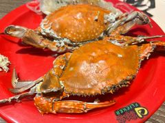 -好伦哥比萨烤肉自助(马家堡店)