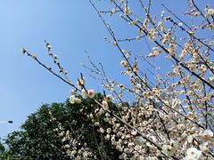 -天鹅湖体育公园