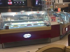 -哈根达斯(石家庄北国店)