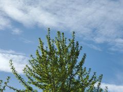 -壹块捌烧烤(灯市口店)