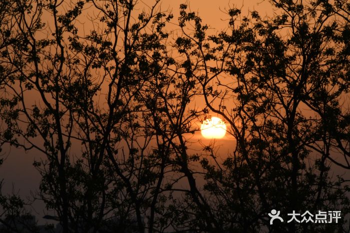 南汇嘴观海公园图片