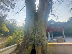 -东钱湖旅游度假区