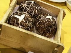 -石头咕(葵蓬店)