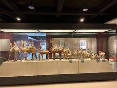 -西安大唐西市博物馆