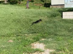 -唐山抗震纪念碑广场