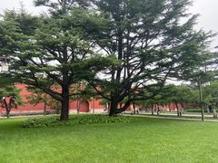 -北京市劳动人民文化宫(太庙)
