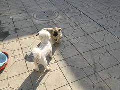 -宠物家(长阳店)