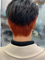 -环球蝶上美业连锁