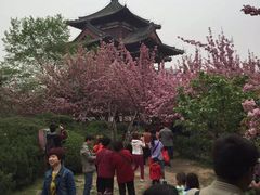 -西安青龙寺遗址景区