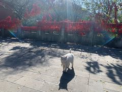 -句容茅山景区