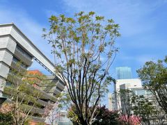 -广东财经大学(广州校区)