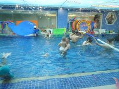 -戊辰亲子游泳俱乐部