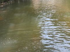 -连云港云龙涧原生态风景区