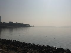 -深圳湾公园(南山区)