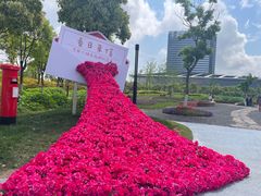 -春花秋色城市公园