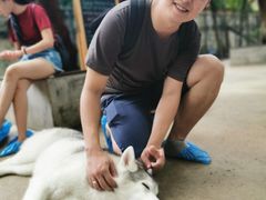-TrueLove @ Neverland (Husky Cafe)