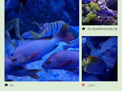 -成都浩海立方海洋公园