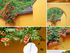 -虎丘山风景名胜区