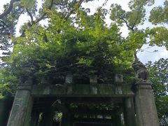 -天一阁博物院