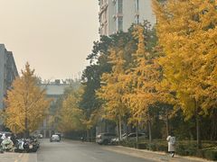 -北京理工大学(中关村校区)