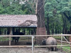 -秦皇岛野生动物园