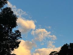 -西湖公园(鼓楼区)