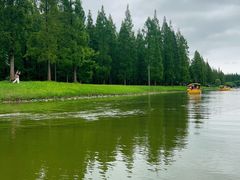 -黄海国家森林公园