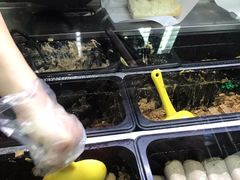 -SUBWAY赛百味(浦东机场店)