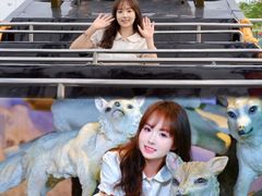 -华夏文旅西安度假区