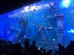 -哈尔滨波塞冬海底世界