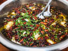 酸菜鱼-陈有良尖椒鸡(渝中示范店)