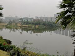 -枫香湖儿童公园