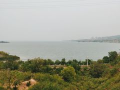 -小赖鱼馆