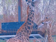 -水上乐园·欢乐世界