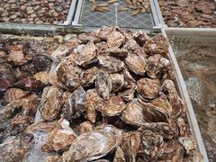 -映像威海·海鲜味道(经区店)