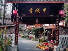 -青城甲(青城山店)