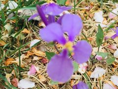 -武清南湖绿博园