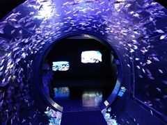 -成都浩海立方海洋公园