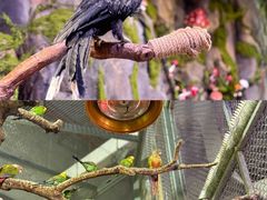 -正佳雨林生态植物园