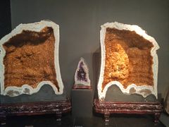 -烟台自然博物馆